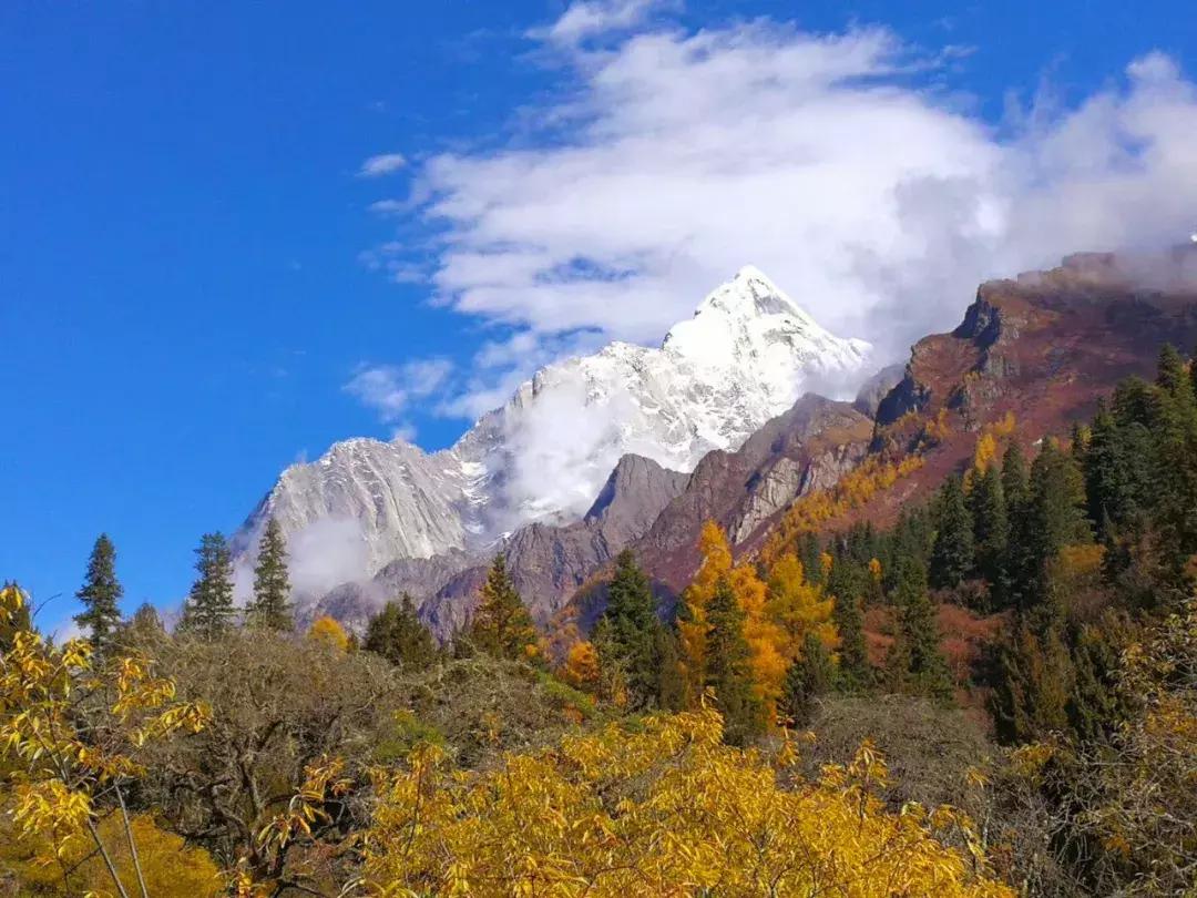 阿坝赏秋一日游,带你看阿坝州秋天的美景