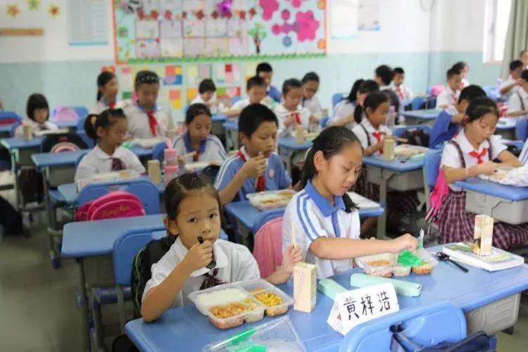 30554名学生！47所学校！聚焦午餐午休，深圳龙岗娃吃什么？