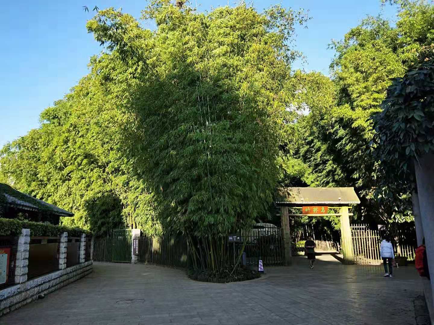昆明翠湖和翠湖公园是一个地方吗,翠湖好玩吗翠湖公园有什么好玩的
