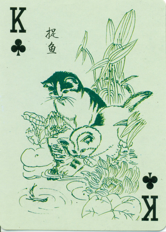 猫谱扑克欣赏,明星扑克牌欣赏