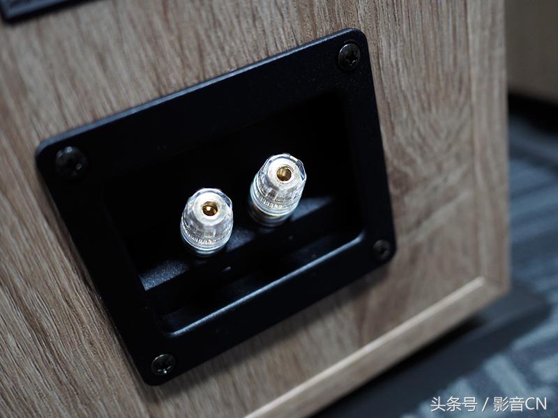 达尼oberon博睿1号,达尼博睿9无源落地音箱评测