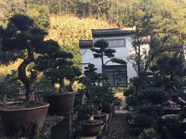 中国不为人知的海边渔村,中国一个渔村