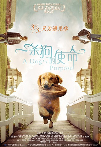为什么一条狗的使命2让刘宪华演,刘宪华一条狗的使命电影访谈视频