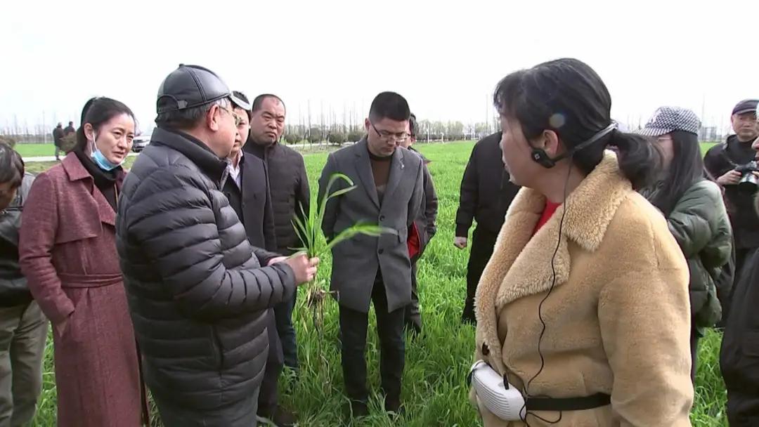 2020年江苏上半年经济运行情况,2020江苏一季度经济数据