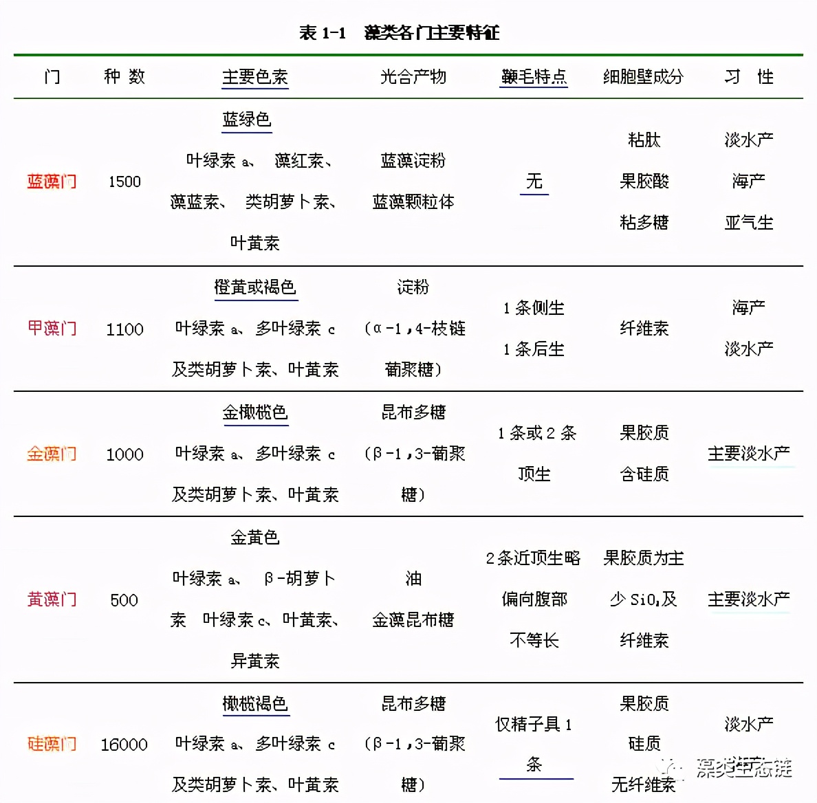 藻类培养课程视频教程,海南藻类生态链