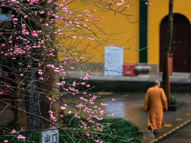 杭州必打卡景点人气榜,杭州旅游必须去的十大景点推荐