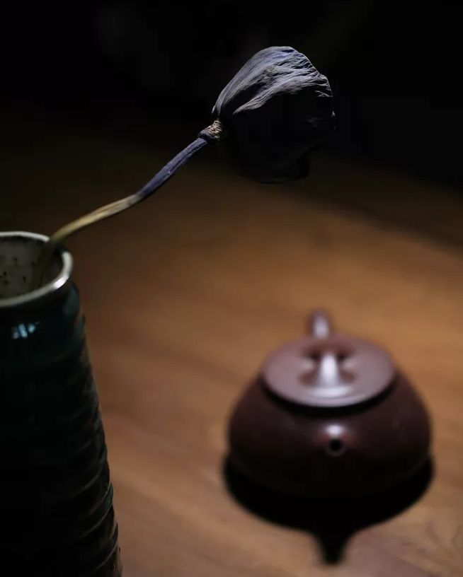 不虚度光阴不辜负年华的散文,感叹年华老去的散文