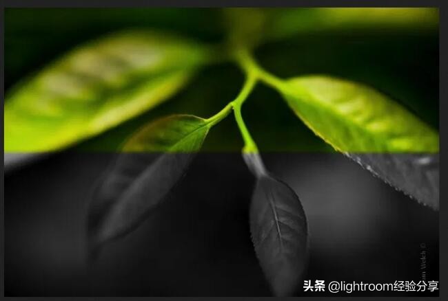 摄影黑白和彩色图对比,摄影黑白和彩色的关系