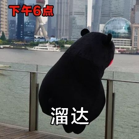 8个字的俗语,常用俚语100个