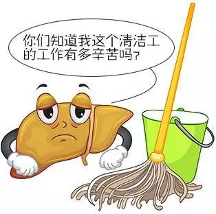 年底聚餐喝酒注意什么,年底应酬多喝酒有讲究