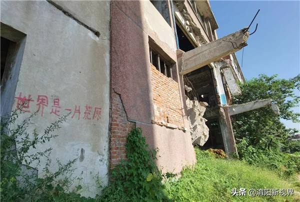 南阳酒精厂旧址,南阳酒精厂来历