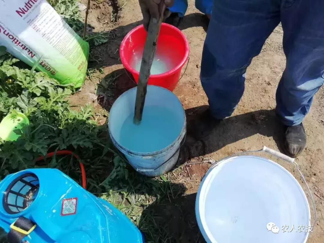 水溶肥合理施肥有什么意义,水溶肥使用禁忌