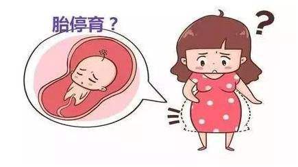 胎停育后多久可以去医院调理备孕,胎停育后再次怀孕要注意什么
