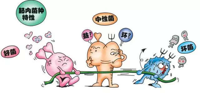 肠道都喜欢怎样的食物？想要胃肠健康，这么吃就对了
