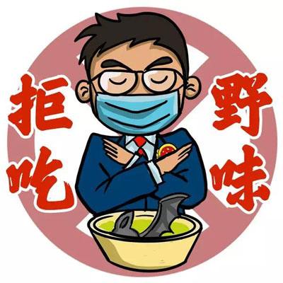 野生蝙蝠都吃什么,野生蝙蝠吃啥