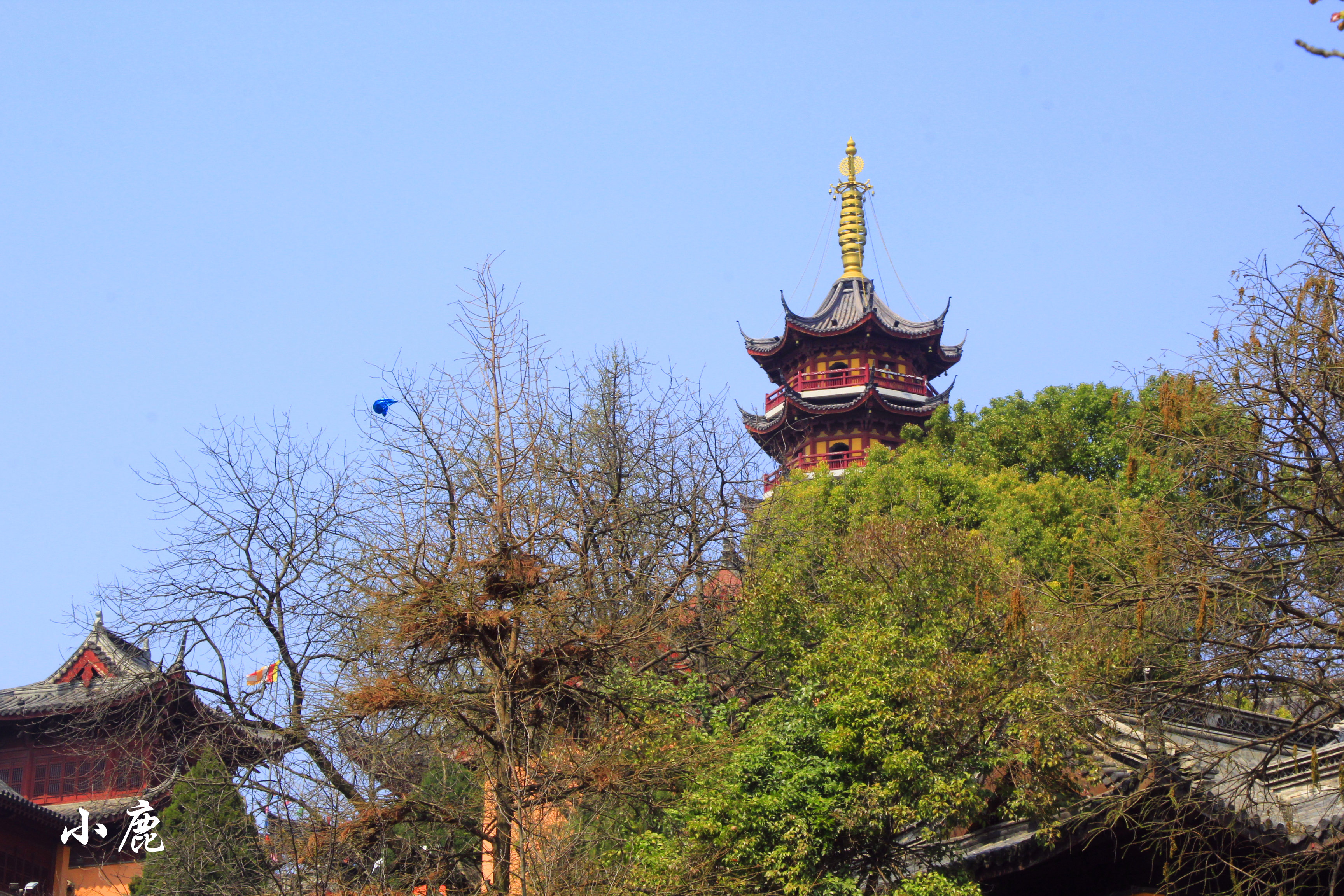 南京最值得一去的寺庙,南京一座免费开放的寺庙