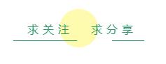 建议老年犬吃这些食物对身体好,老年犬需要补充什么营养