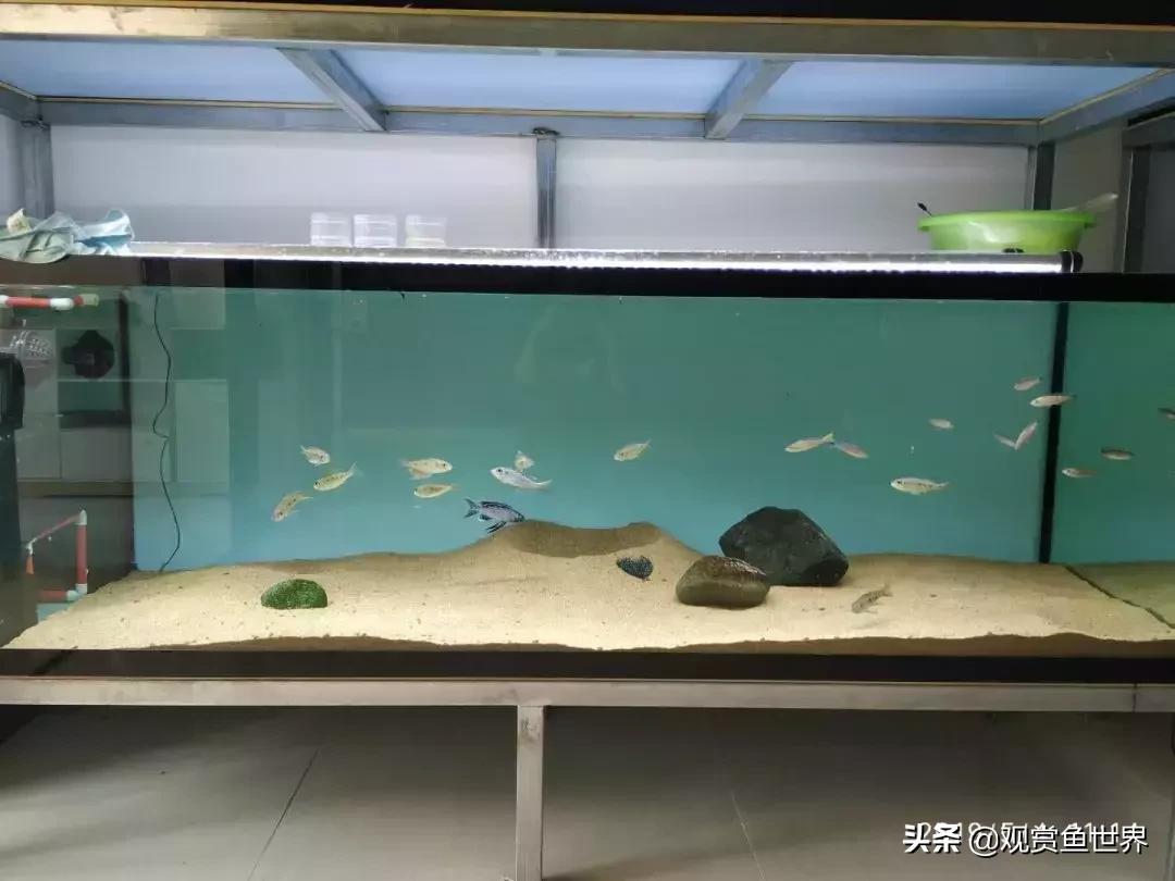 梦想的三湖世界持续建设中……方位：中国天津