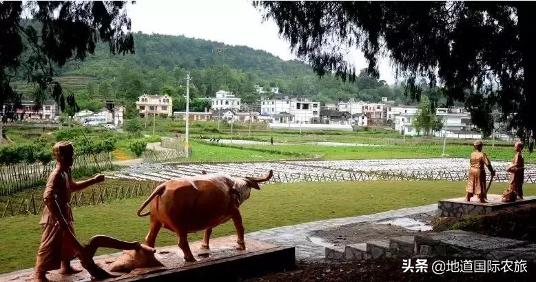 台湾乡村田园旅游案例分享,6个创意乡村旅游综合体