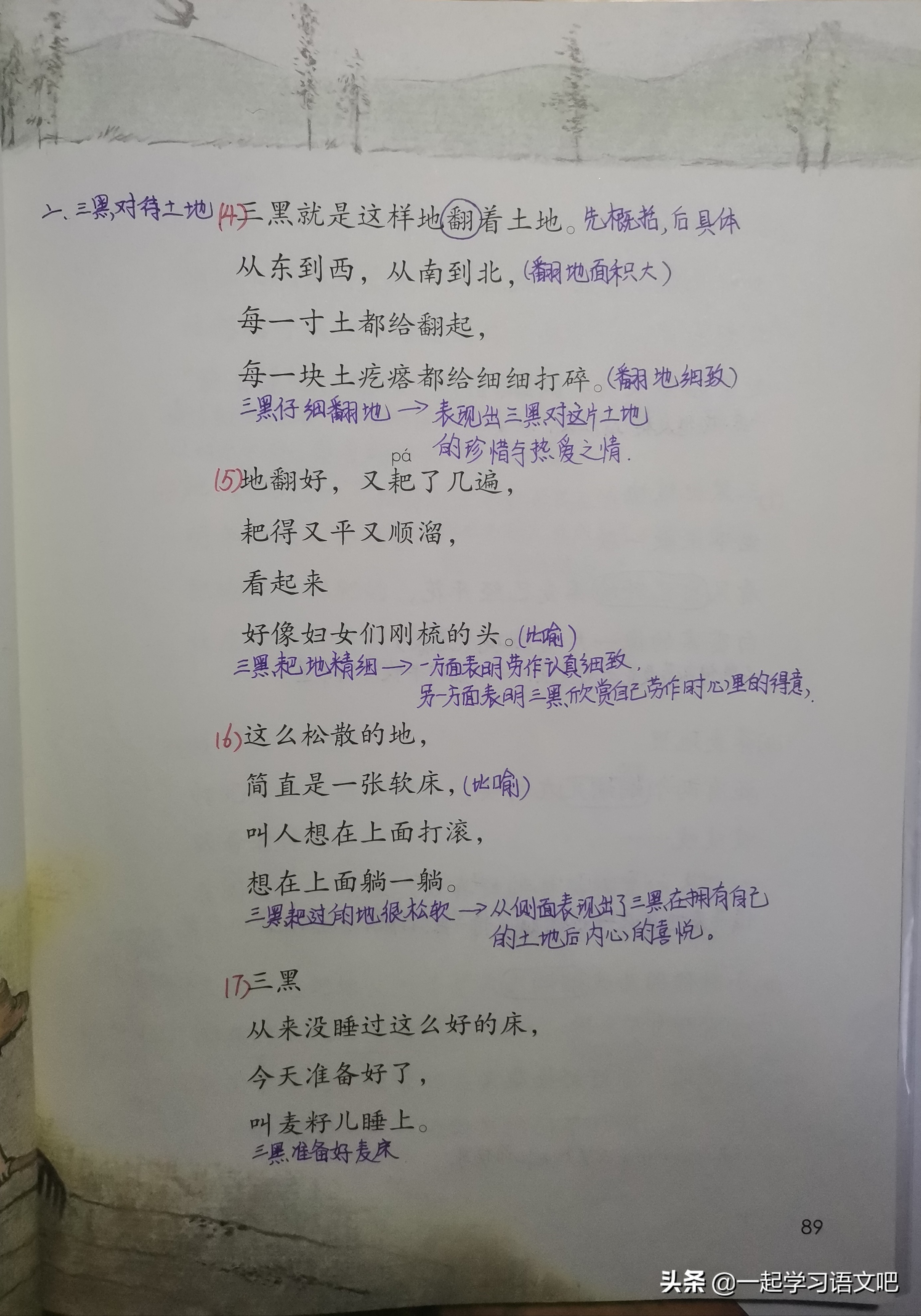 六年级第21课三黑和土地课堂笔记,六年级语文第20课三黑和土地笔记
