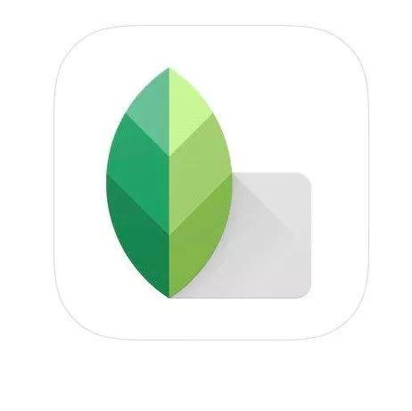 snapseed修图技巧九宫格,snapseed如何把照片修出翠绿风格