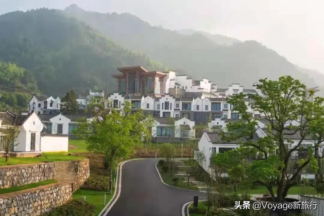 旅行民宿春天赏花,附近哪里有赏花民宿