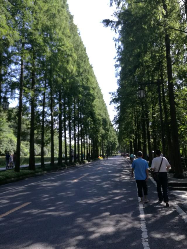 带着93岁老母亲旅行,抬着90多岁的老母亲上山旅游