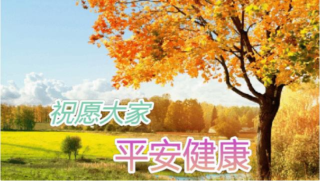 心灵的伙伴是什么,心灵的伙伴是温暖源泉