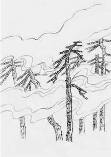 一学就会的画法,国画松树的画法步骤