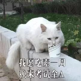 2019届毕业生平均薪资,应届毕业生工资低怎么办
