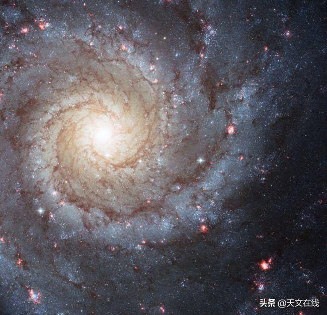 黄道十二宫真实存在,黄道12宫星座的秘密