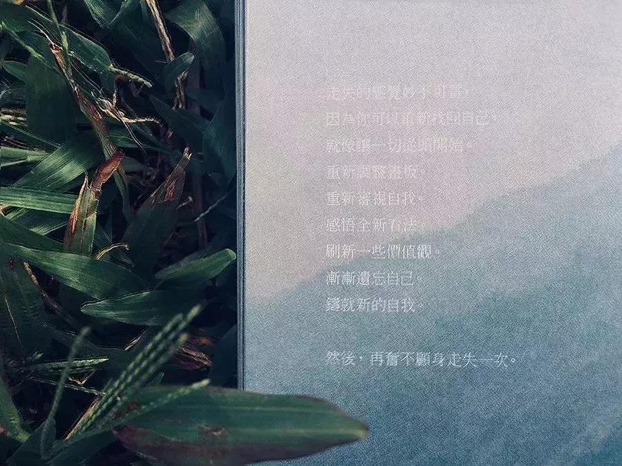 旅行者圣经,旅行者的圣经
