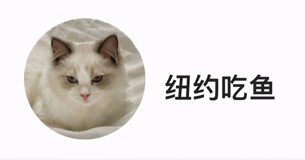黄石：美国白人的另类苦难
