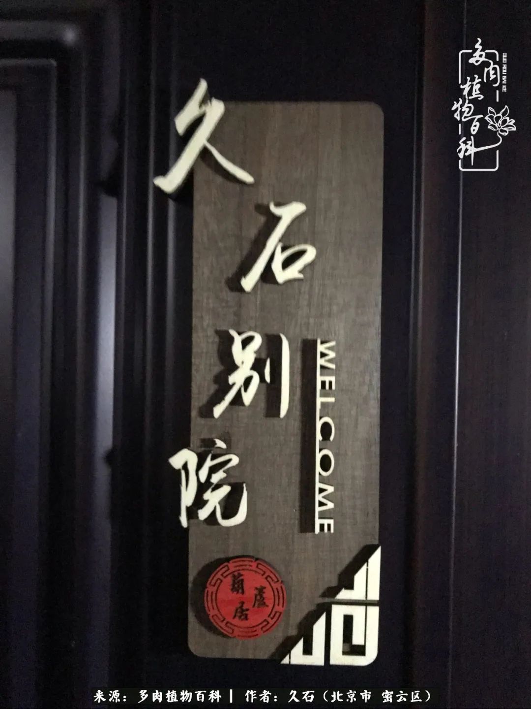 与多肉朝夕相伴的美好时光,多肉相伴人生无忧图片