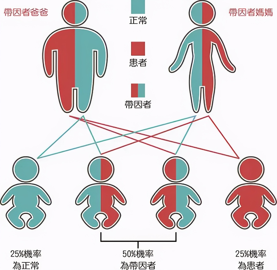 一位地贫患者的自诉，不恨父母，但恨这个疾病