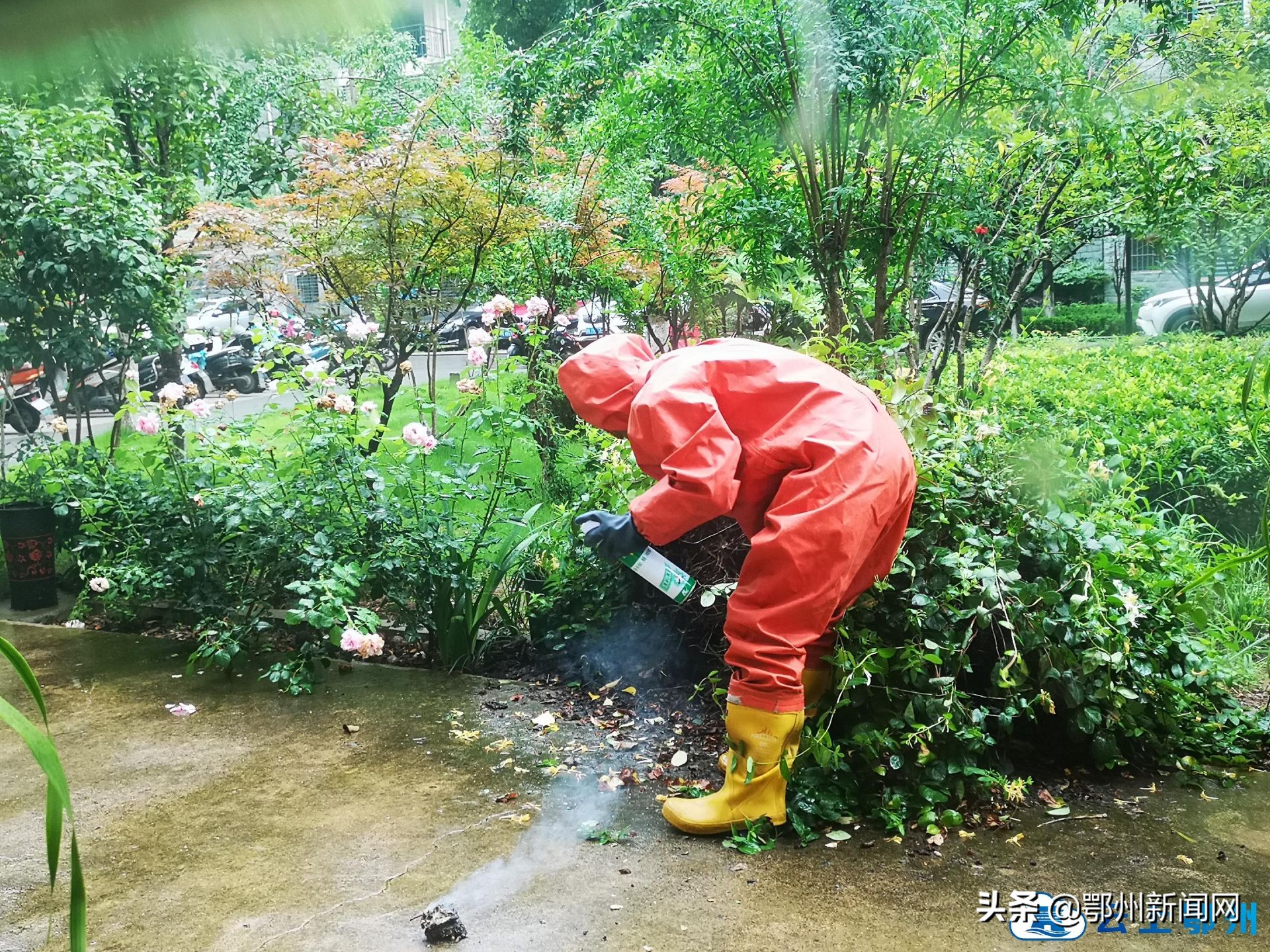 夏季马蜂“乱搭窝”怎么办？拨打119找消防蜀黍来盘它