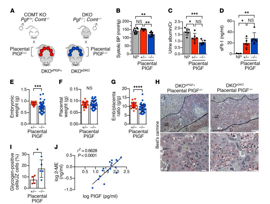 美国癌症中心：阻断胎盘生长因子能够改善妊娠高血压和先兆子痫