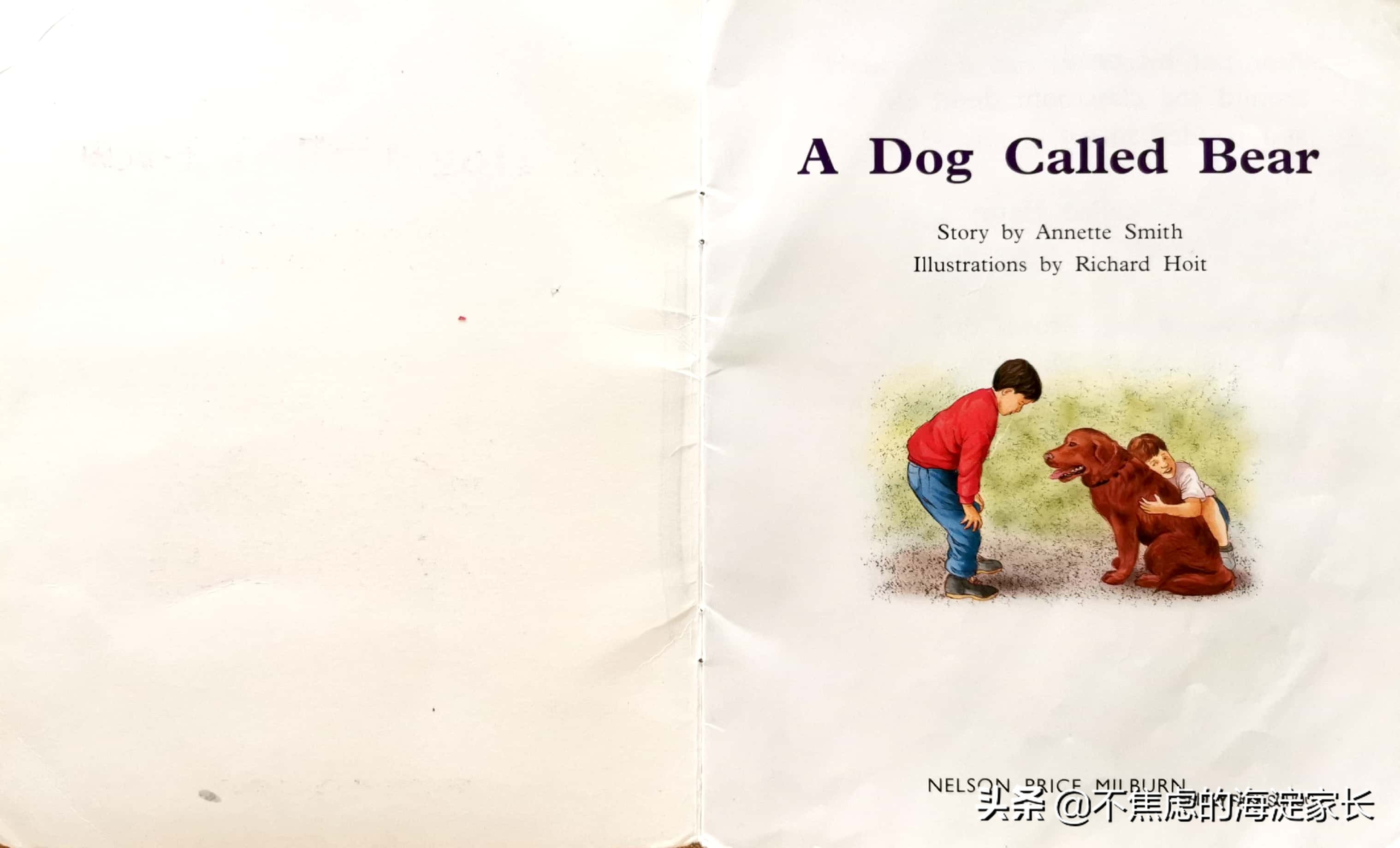 新西兰小学课后读物,新西兰小学读书