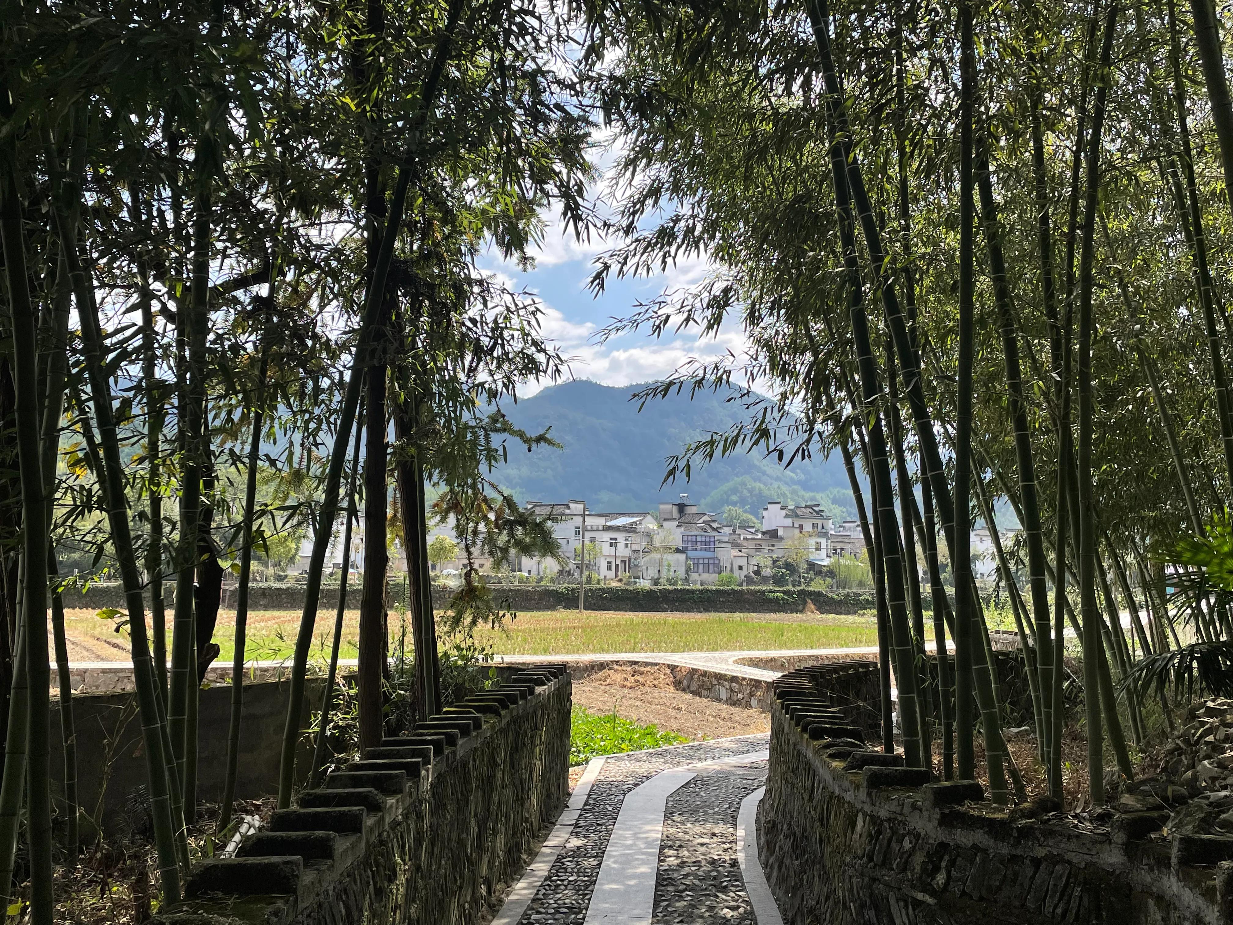 假期景区最好推荐,绩溪龙川5a景区