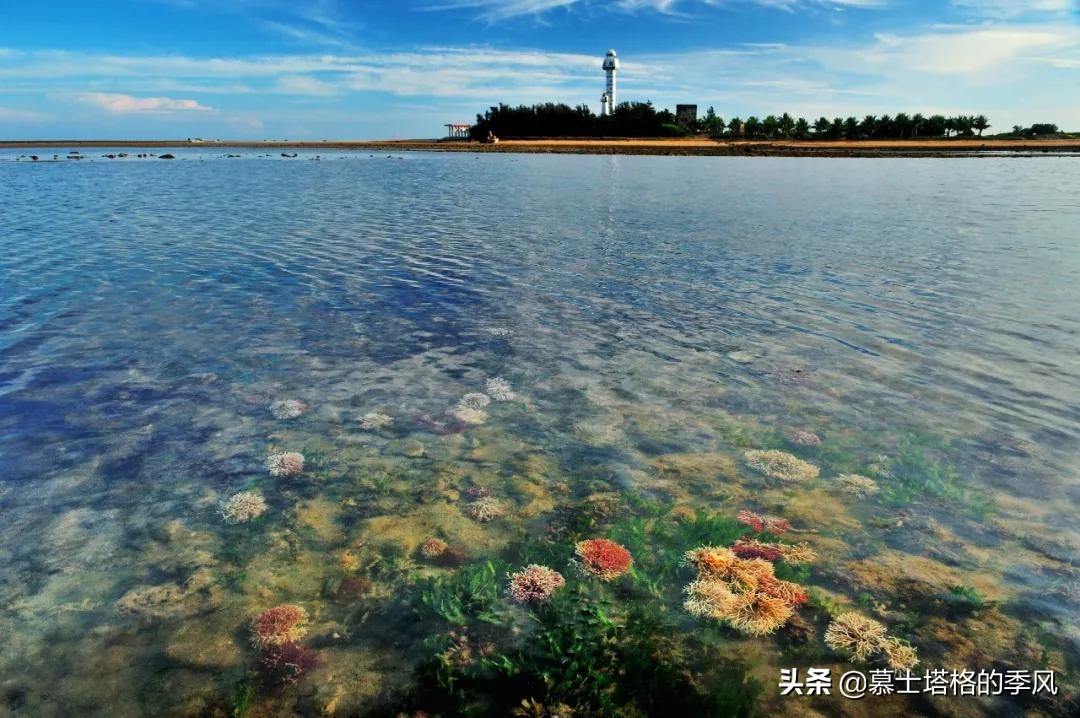 西双版纳北海湛江哪个适合养老,湛江北海哪个城市最宜居呢