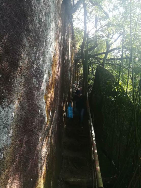 江湖路的风景视频,江湖路上走走停停