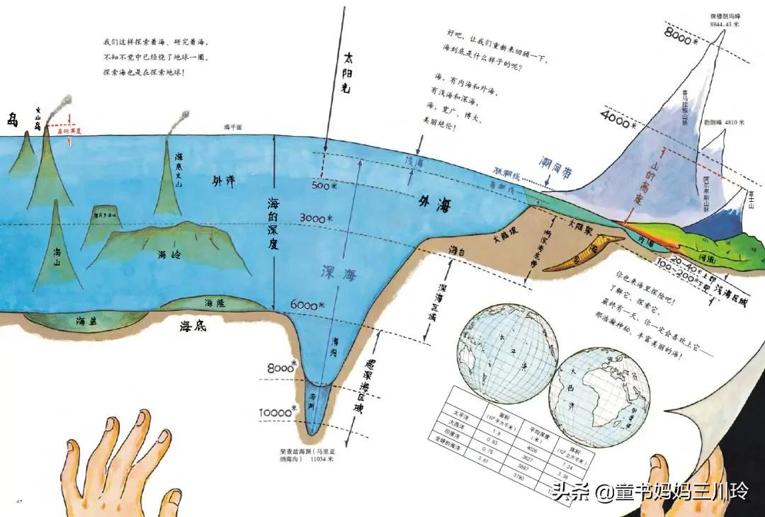 鏃ユ湰绉戝涔嬬埗,鏃ユ湰绉戝缁樻湰