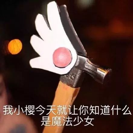 领导，请你尊重这个专业，法学是······