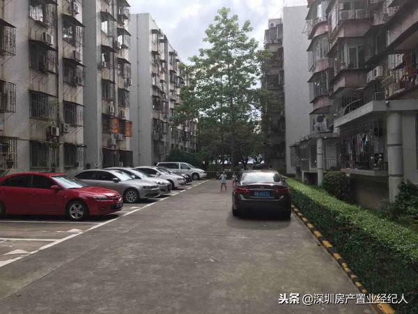 南山几大学位名校你该如何选择，学位刚需末班车时机来临