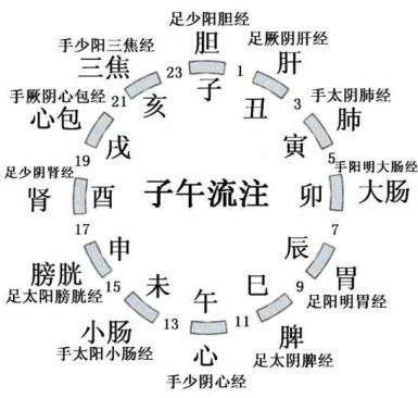 子午流注凌晨三点到五点归哪个经,子午流注肺经当令