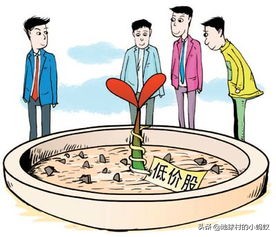 2毛钱一股！史上最廉价A股大股东“跑了”24万股民“哭了”
