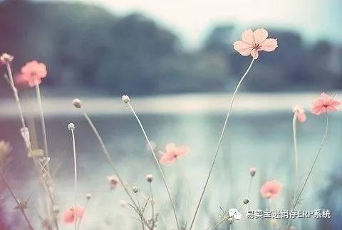 怎么快速增加好友密友值,如何增加好友的人数和时间