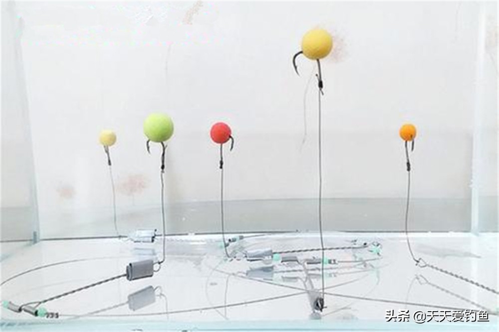 十多度钓草鱼技巧和方法,依照以下几种方法钓草鱼十拿九稳