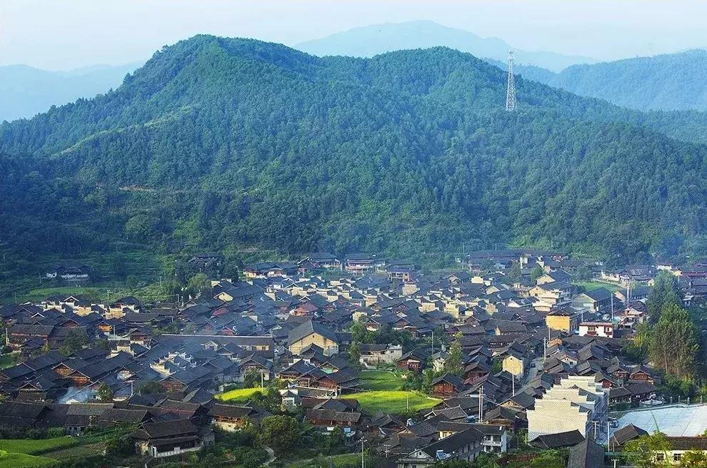 下一站联合电子,下一站同行