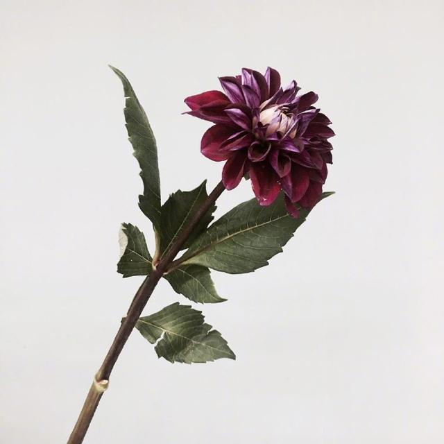 几句让你瞬间成长的句子,真正让你成长的语录